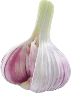 23x30mm „Knoblauch“ 1000 Etiketten pro Rolle – Bild 3